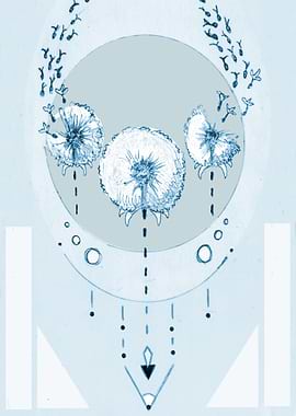 Blue Dandelion