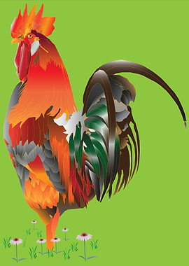 Vector Illustration Cock