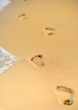 Footprints in the Sand