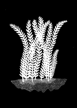 Seaweed Silhouette