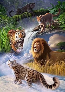 Big Cats
