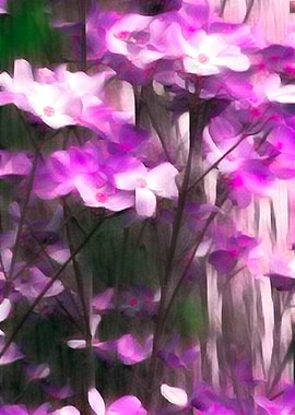 abstract roses background