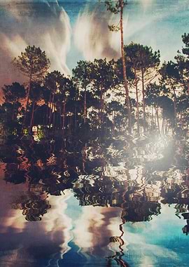 Perfect Symmetry