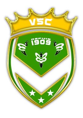 LOGO VSC 2019