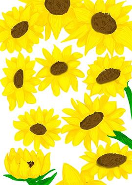 sunflowers