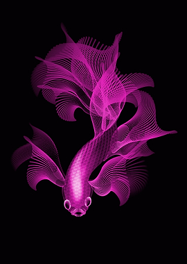 pink fighter fish
