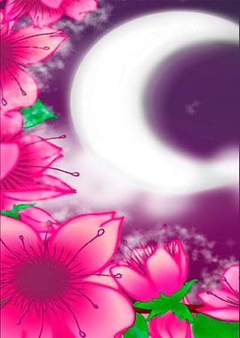 Sakuras Night Hanami