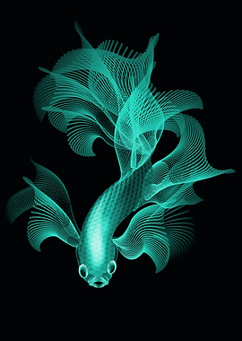 fighter fish in aqua color