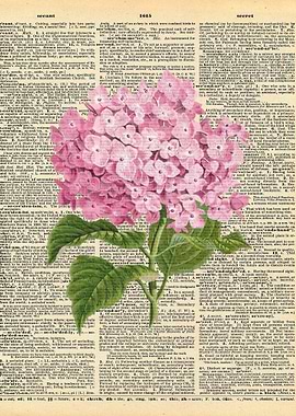 Pink Flower on Dictionary