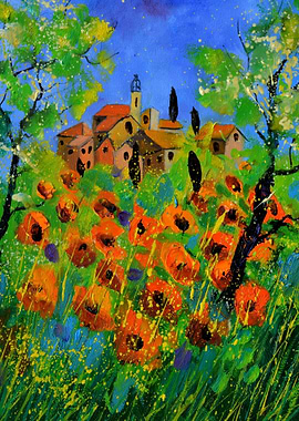 Orange poppies