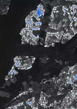 BluePaintContemporaryArt1