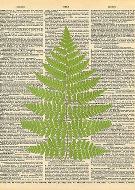 Fern Leaf on Dictionary Pa