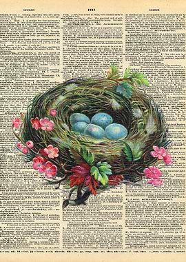 Bird Nest on Dictionary Pa