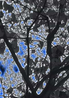 BluePaintContemporaryArt3