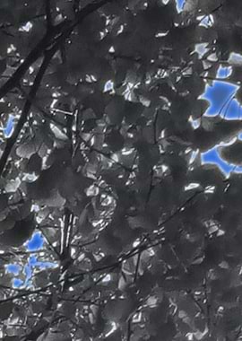 BluePaintContemporaryArt4