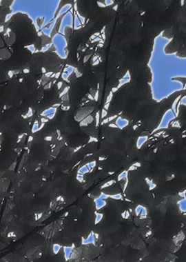 BluePaintContemporaryArt2