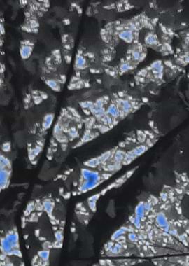 BluePaintContemporaryArt1