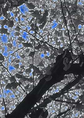 BluePaintContemporaryArt6