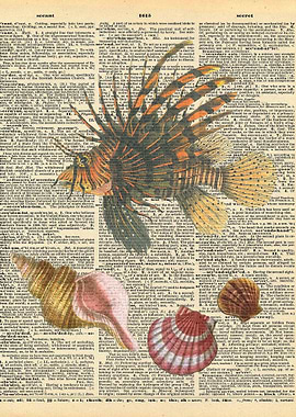Fish and Shells on Diction