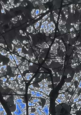 BluePaintContemporaryArt5