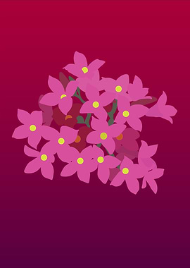 Pink blossom meets night