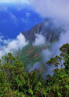 Kalalau Lookout