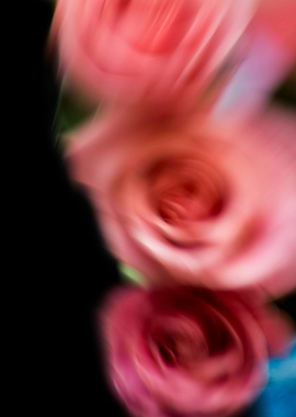 Blurred roses bouquet