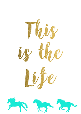 This Is The Life Horses