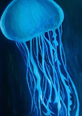Jellyfish