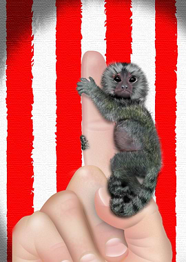 Just Me and my Monkey