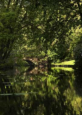 hiden bridge in the woods