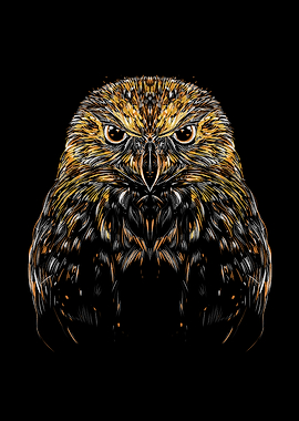 owl