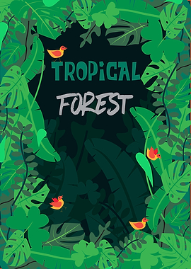 tropical forest