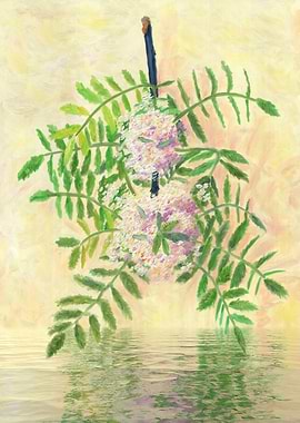 Flowering Rowan Branch