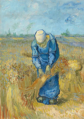 Woman Binding Sheaves