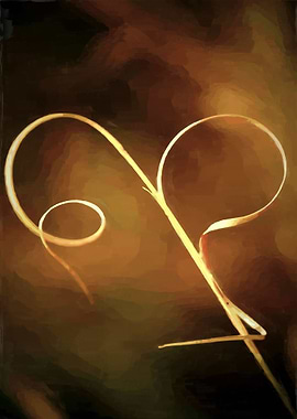 Grass Curl Brown and Gold