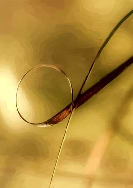 Grass Black and Gold