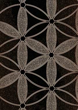 Flower of Life Closeup
