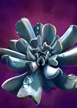 Rain over succulent