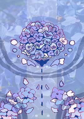 Hydrangea in Blue