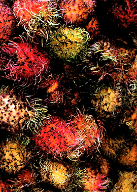 Market Surigao Philippines