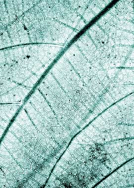 Faded vintage leaf strings