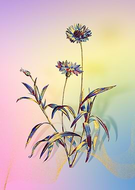 Prismatic Blue Cornflowers