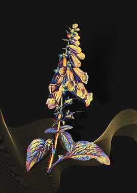 Prismatic Foxglove Flowers