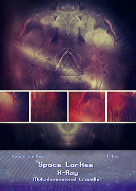 Space Larkee XRay