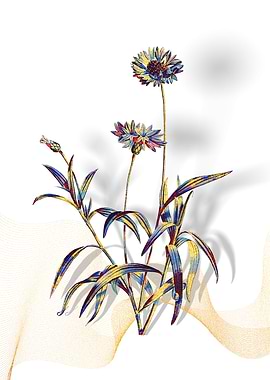 Prismatic Blue Cornflowers