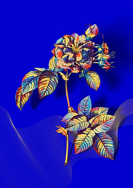 Prismatic Francfort Rose