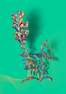 Prismatic Dragon Flowers