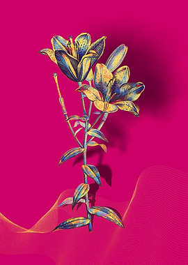 Prismatic Bulbous Lily