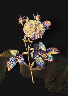 Prismatic Agatha Rose